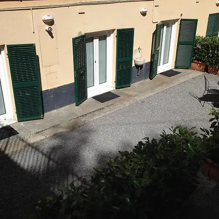 Cabella Fine Flat * Génova